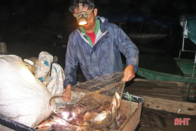 Ha Tinh stabilisiert die Süßwasserproduktion und erntet mehr als 9.200 Tonnen Wasserprodukte