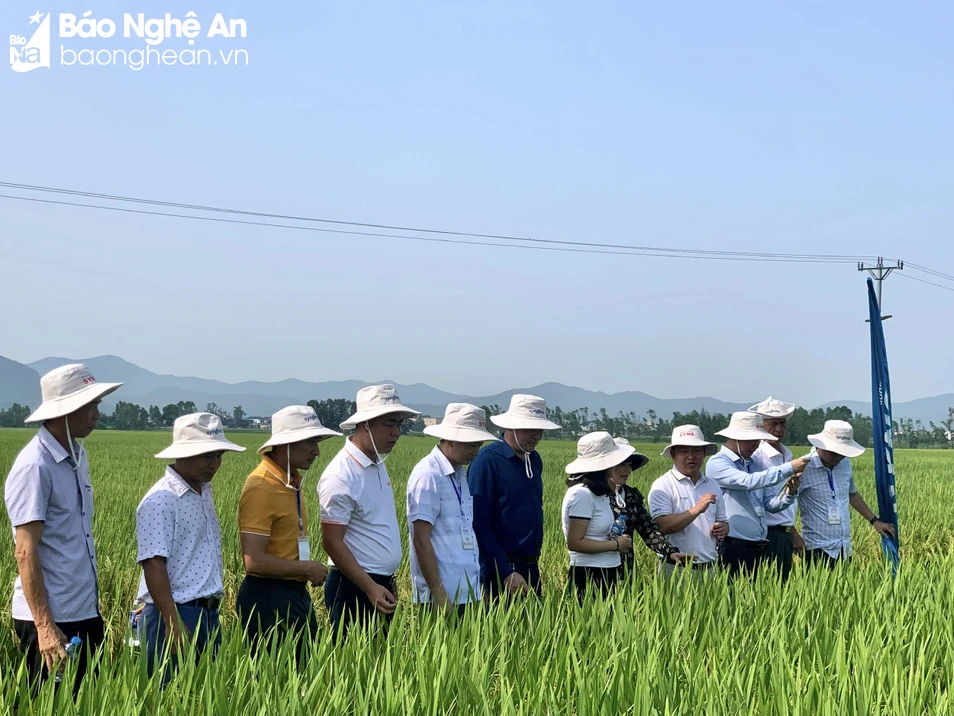 bna_ tham quan. Anhr- Phu Huong.jpg