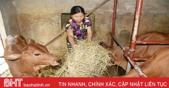 “Chìa khóa” mở cánh cửa thoát nghèo bền vững cho nông dân Lộc Hà