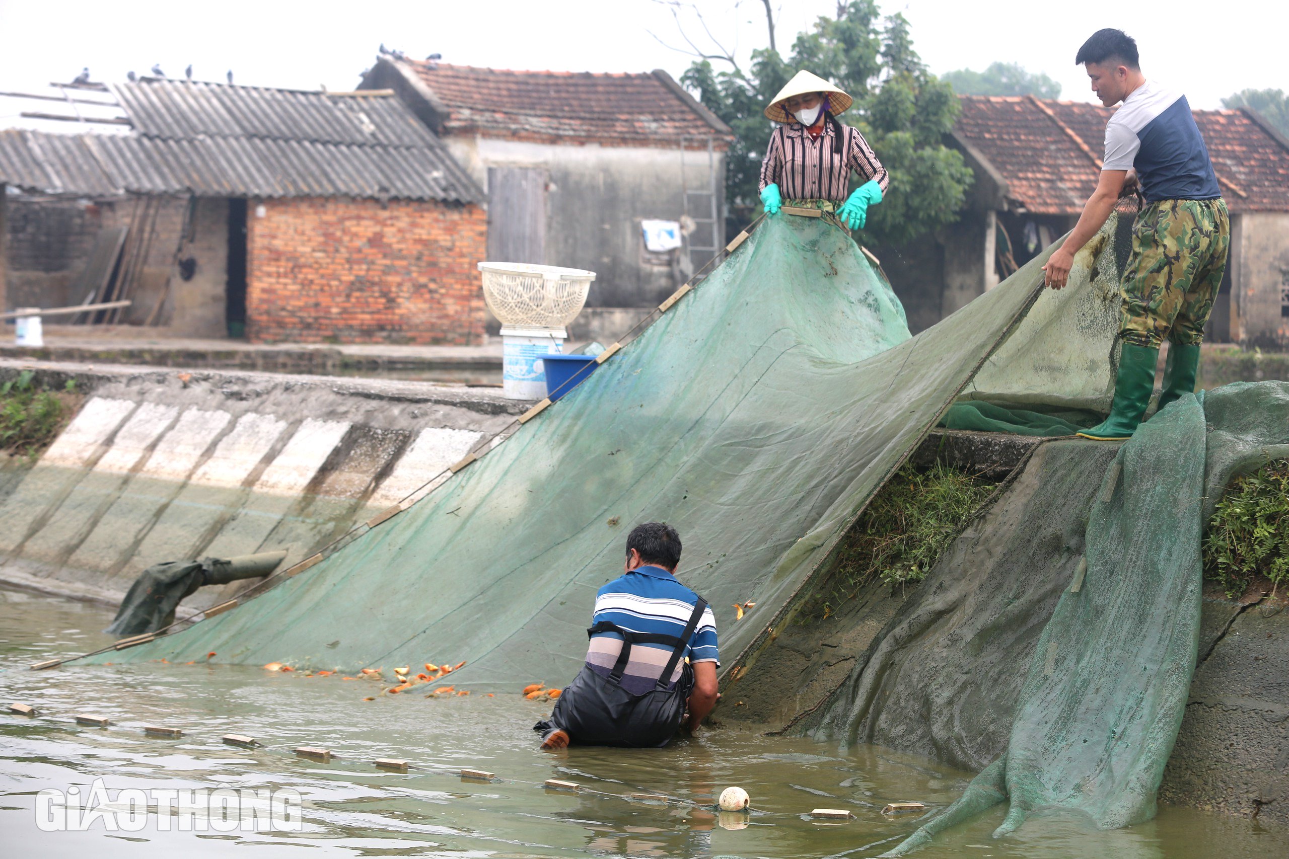 Làng sản xuất 