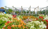 ดอกไม้ฤดูใบไม้ผลินับพันบานในงานเทศกาลดอกไม้ที่ใหญ่ที่สุดในภาคเหนือ