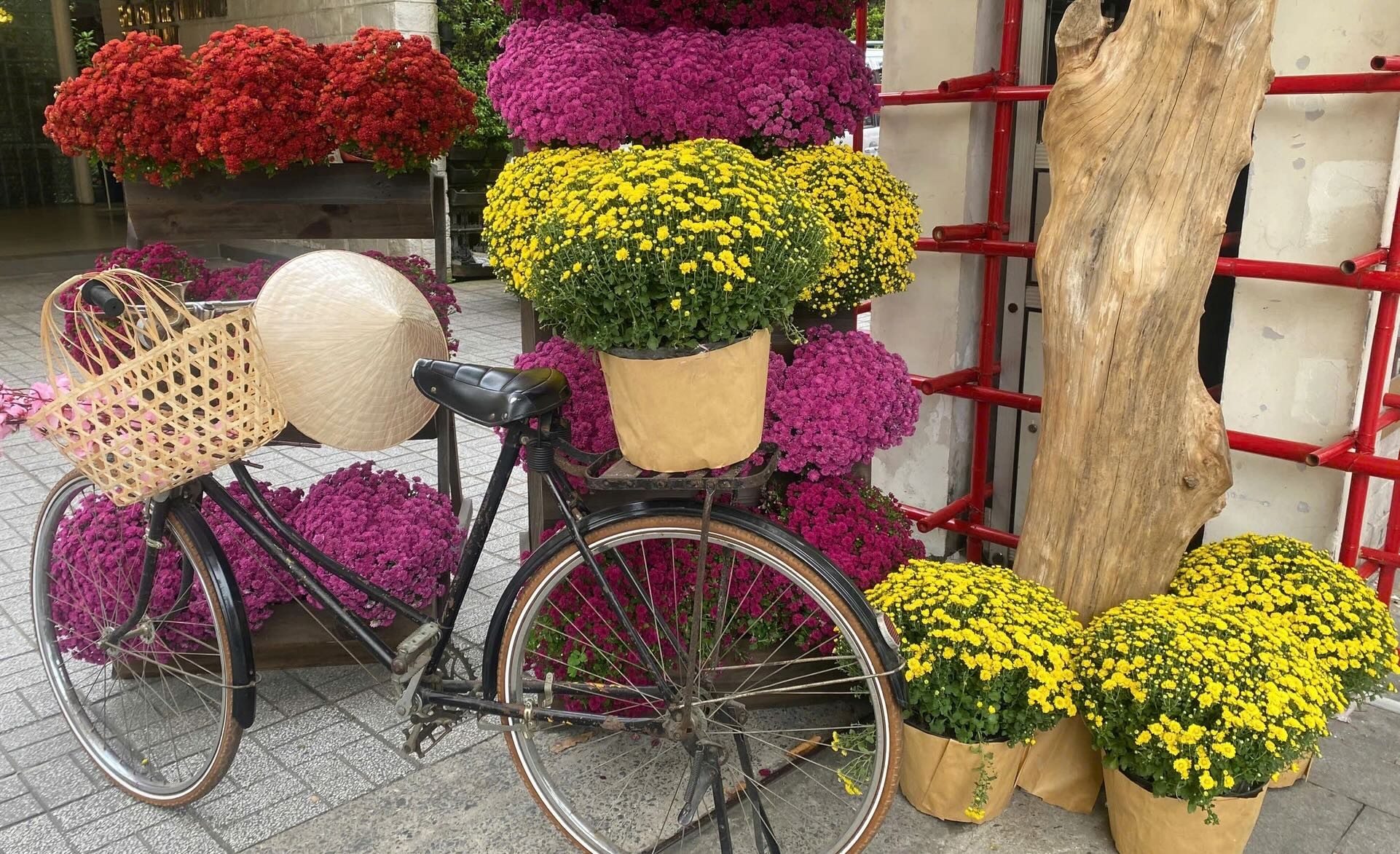 Junge Leute strömen in die Ong Do Straßen und Mai Vang Straßen in Ho Chi Minh Stadt, um Tet-Fotos zu machen. Foto 2