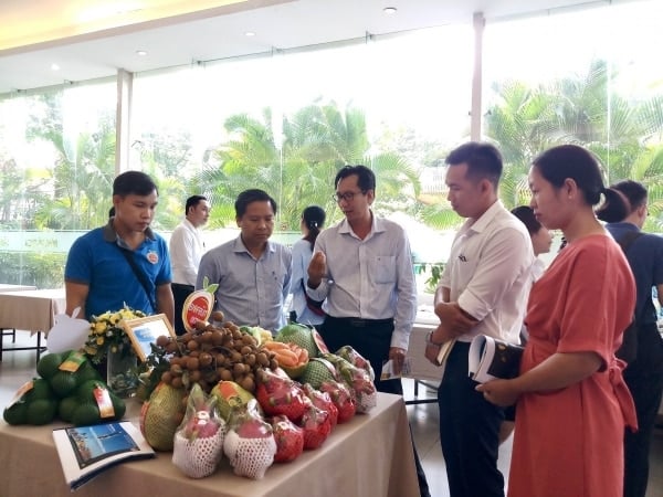 Llevando los productos agrícolas de Dak Nong al mercado de la ciudad de Ho Chi Minh