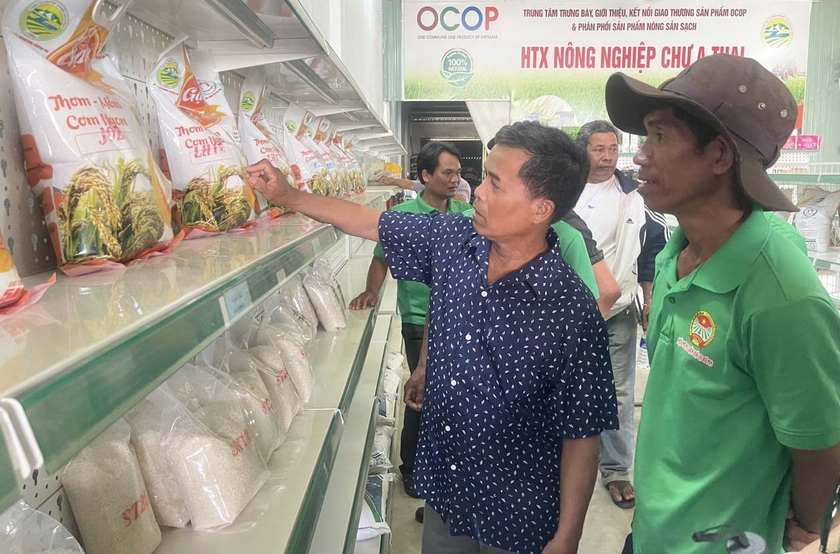 Với chất lượng cao, Gạo Phú Thiện được người tiêu dùng ưa chuộng. Ảnh: Vũ Chi