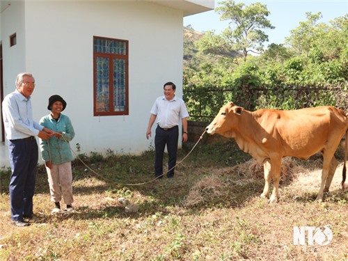 Remise de vaches reproductrices aux ménages pauvres du district de Bac Ai