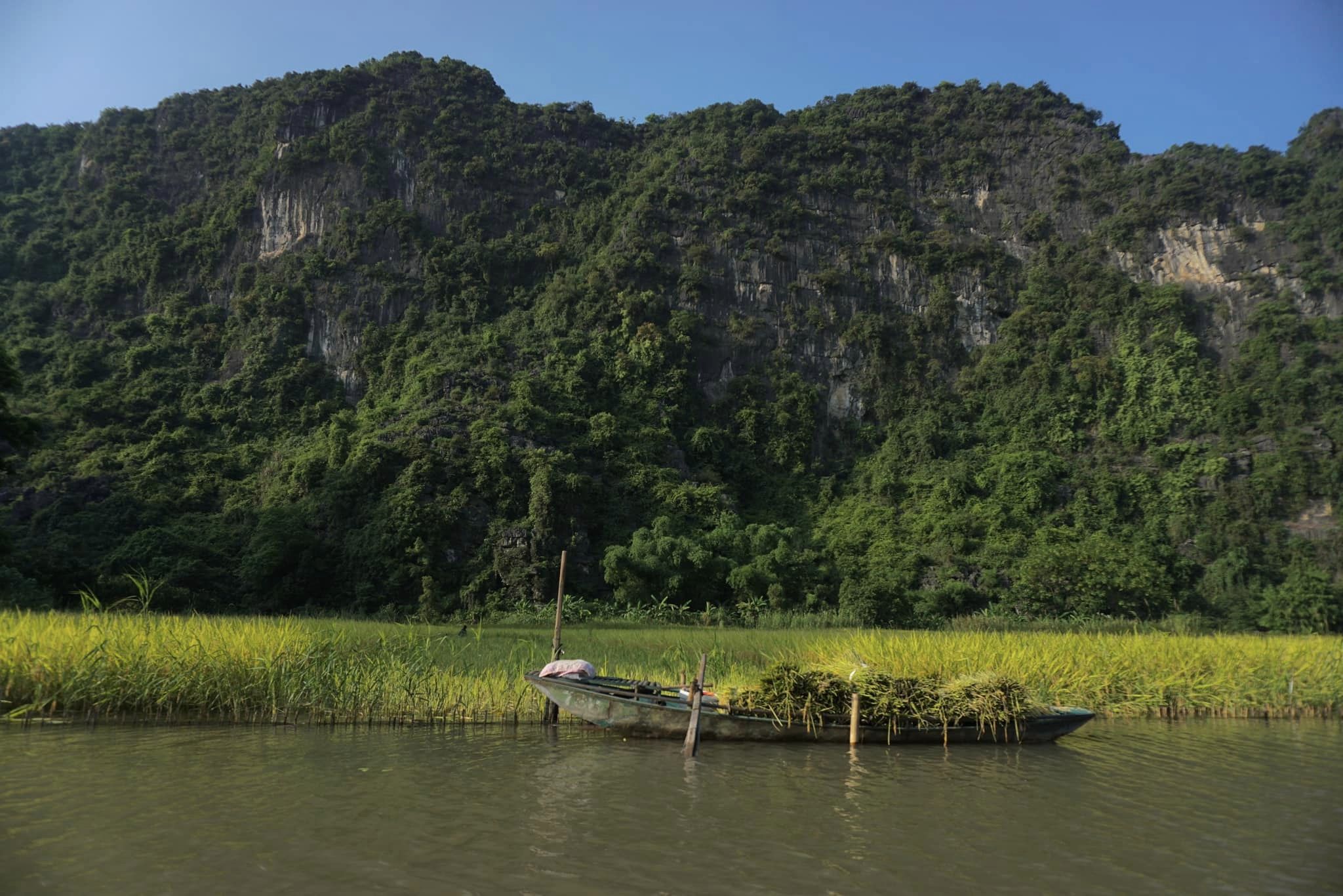 មិនមានការពិពណ៌នារូបថតទេ។