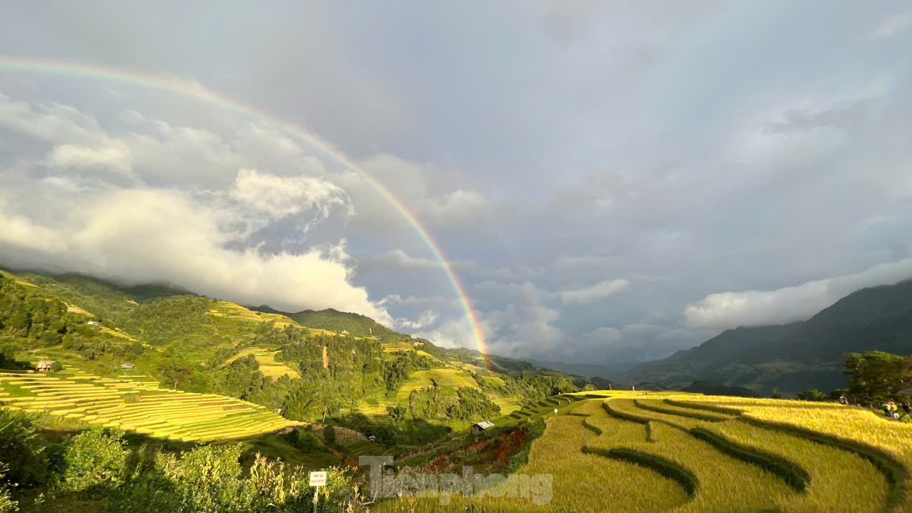 Brillante Mu Cang Chai en la temporada de arroz maduro, foto 8