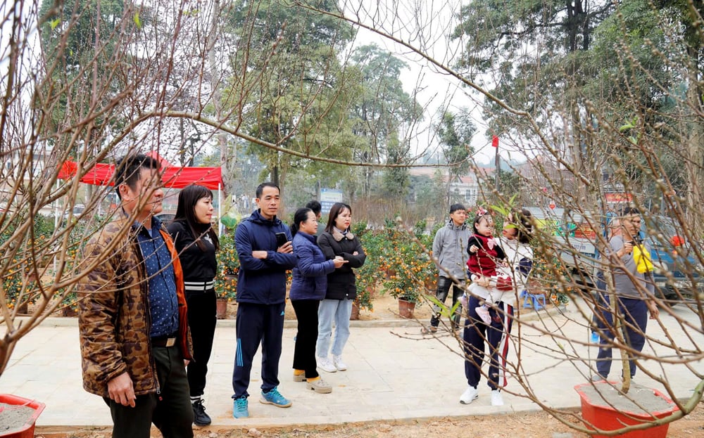 Bustling market of flowers and ornamental plants for Tet