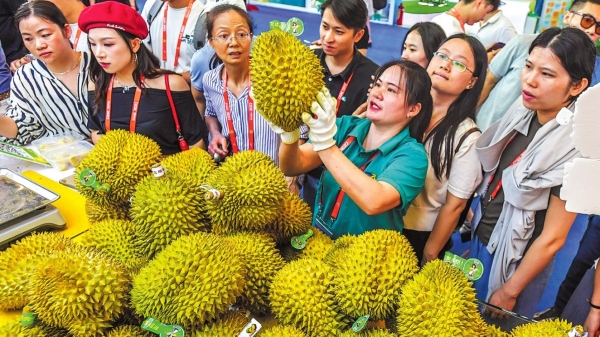 ¿Por qué los chinos eligen el durian vietnamita como regalo del Tet?