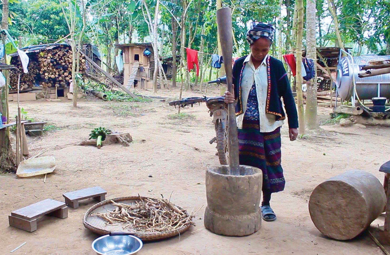 Lan tỏa tinh hoa của núi rừng