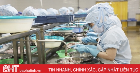 Doanh nghiệp “ngóng” tiếp cận gói tín dụng ưu đãi lâm, thuỷ sản