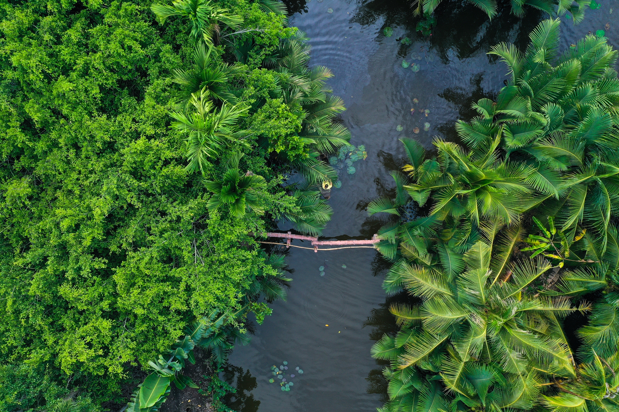 Tour miền Tây 'trốn nóng' hút khách