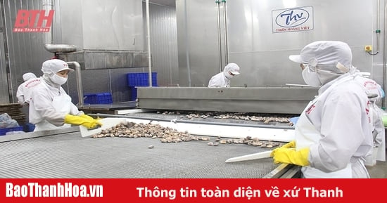 Thúc đẩy công nghiệp chế biến nông - lâm