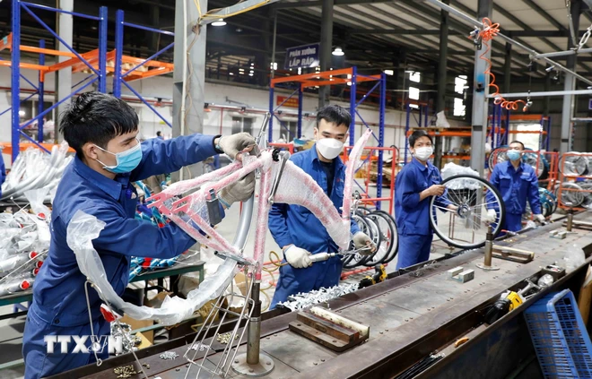 Die Thong Nhat Bicycle Company produziert Fahrräder für den Inlandsverbrauch und den Export. (Foto: Tran Viet/VNA)
