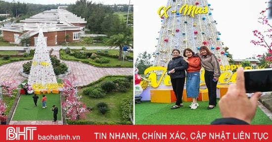 Cây thông Noel được làm từ 100.000 vỏ sò ở Hà Tĩnh