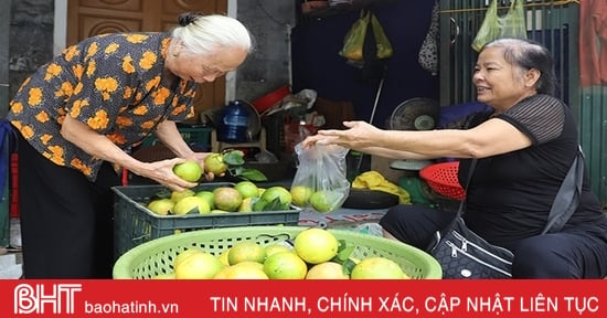 Las naranjas Ha Tinh de temporada temprana "se ganan el corazón" de los clientes