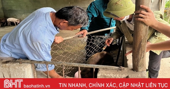 Tức tốc tiêm phòng bổ sung, tăng đề kháng cho đàn vật nuôi ở Hà Tĩnh