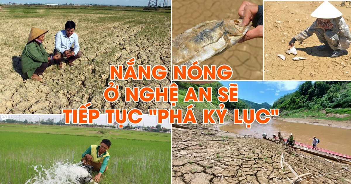 Extreme weather forecast in Nghe An in 2024