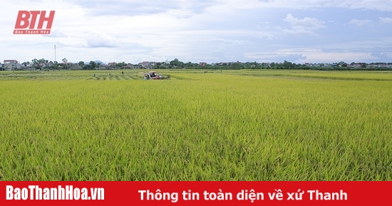 Nông nghiệp tăng trưởng ấn tượng