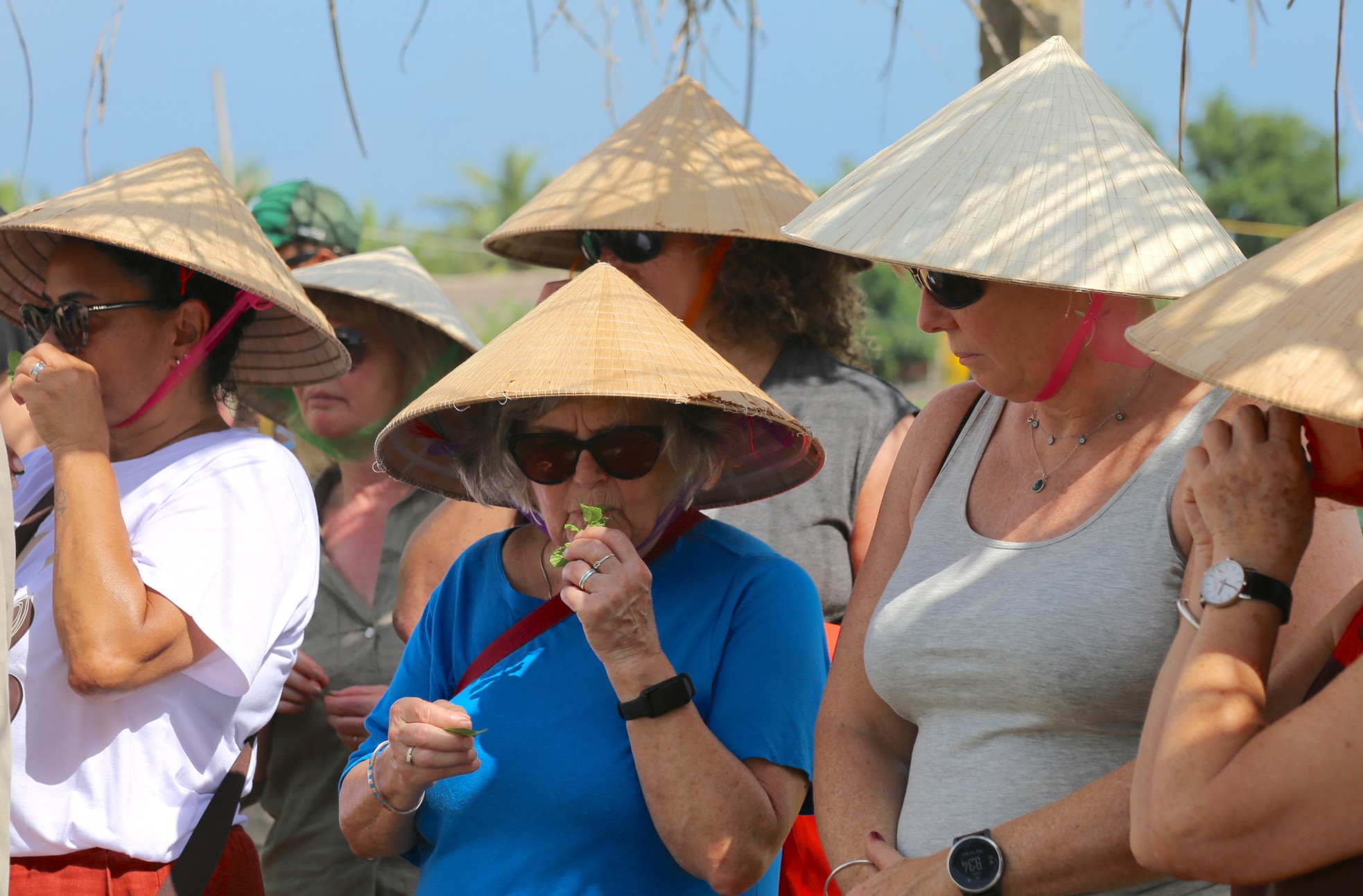 តើ​ស្លឹក​ឈើ​តូច​ៗ​នៅ​ទីក្រុង Hoi An ធ្វើ​ឱ្យ​ភ្ញៀវ​ទេសចរ​លោក​ខាង​លិច​ស្រក់​ទឹក​ភ្នែក​យ៉ាង​ណា? រូបថត 7