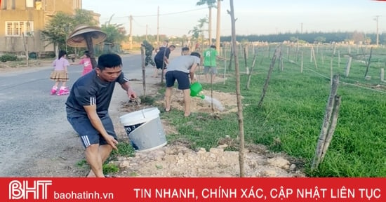 Ha Tinh continue d’exhorter à la mise en œuvre du projet de plantation d’un milliard d’arbres.