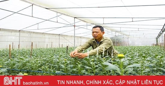 Thêm sắc thắm ngày xuân...