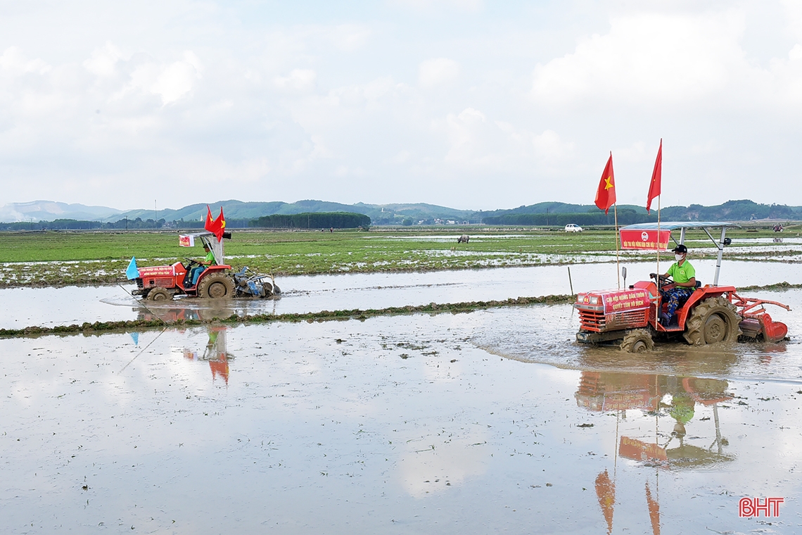 មើលកសិករ Huong Khe ប្រកួតប្រជែងភ្ជួរ