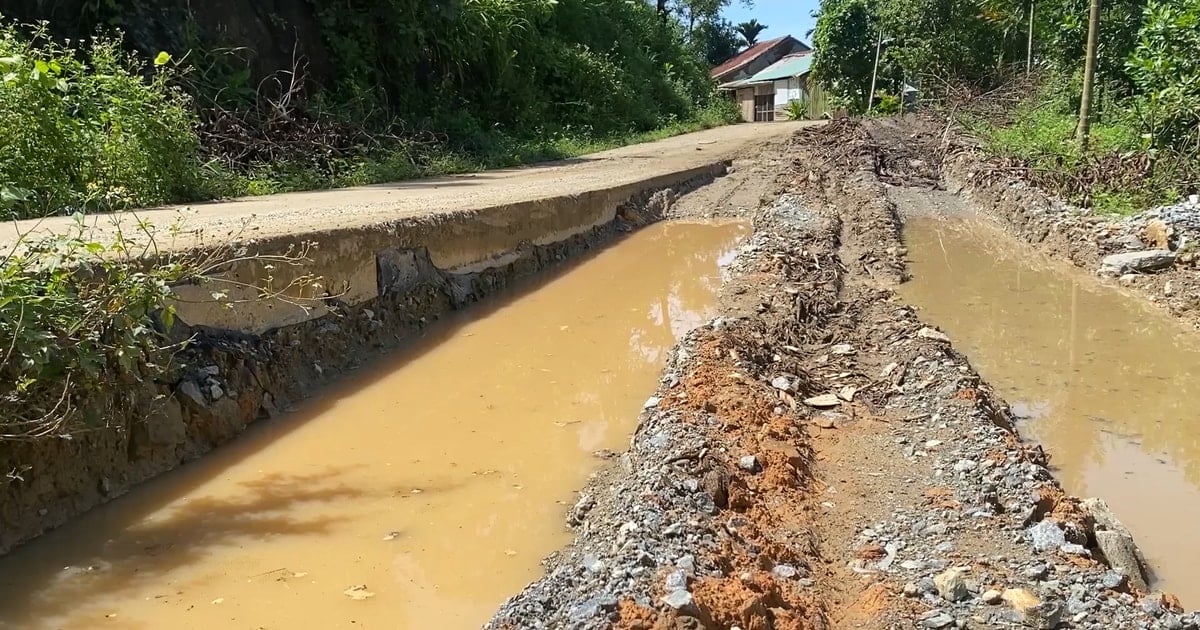 Bắc Trà My sớm đầu tư tuyến ĐH8 (đoạn Trà Đốc