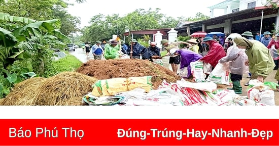 Sửa chữa, nâng cấp các công trình đê điều, thủy lợi