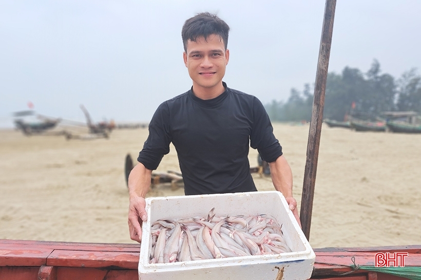 Las gachas de pescado Nghi Xuan son frescas y deliciosas, a buen precio.