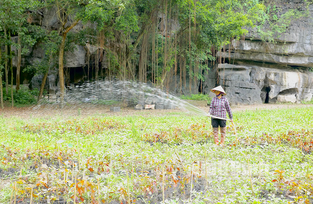 Ninh Hải sẵn sàng cho Tuần du lịch Ninh Bình