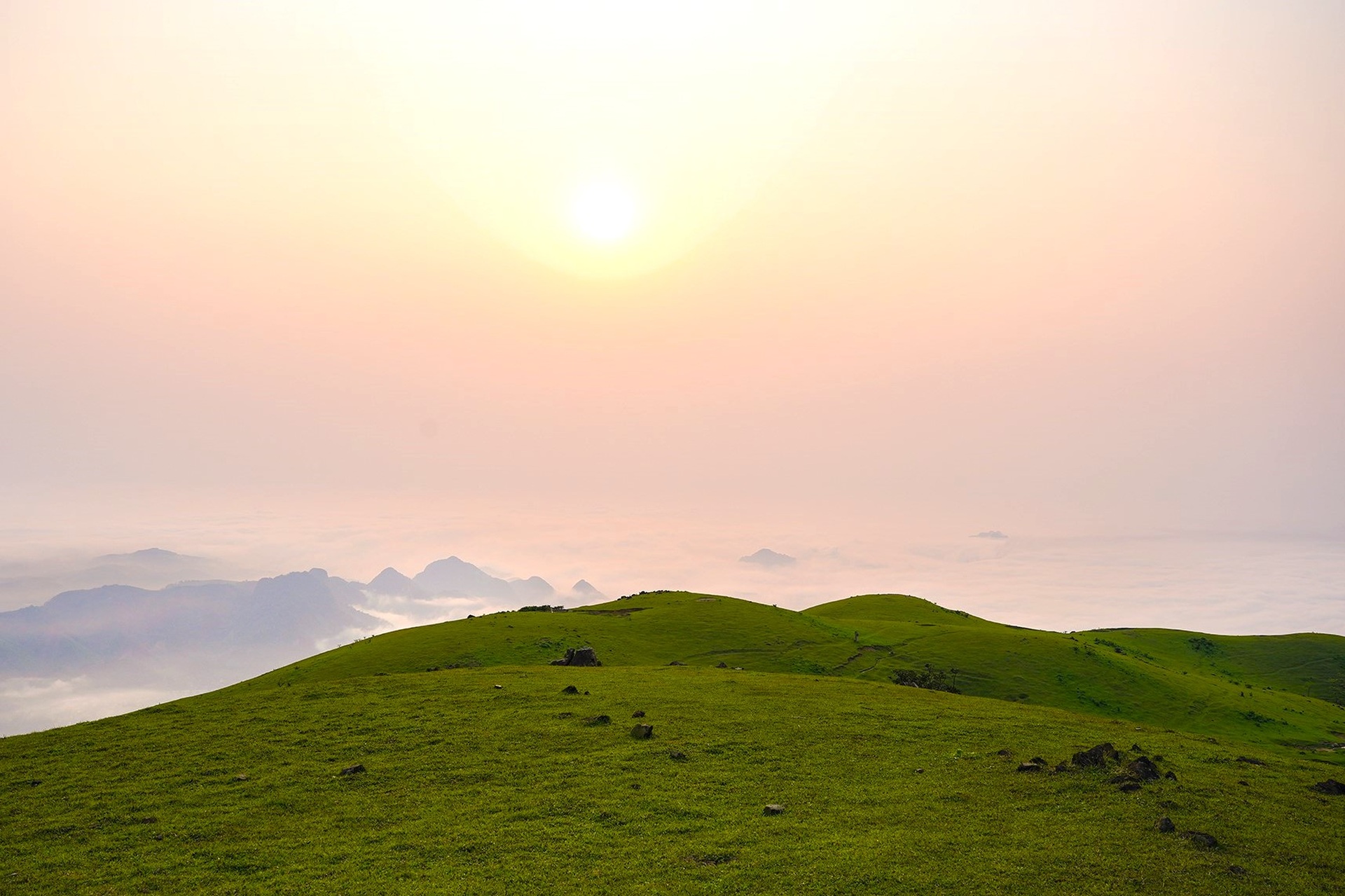 Ngắm thảo nguyên xanh mướt, điểm trekking lý tưởng ở Thanh Hóa - 7