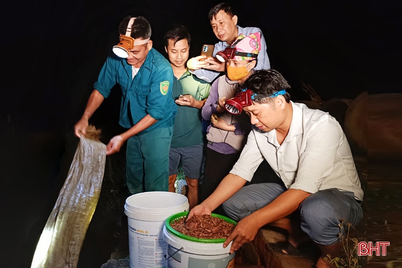 Beobachten Sie, wie die Menschen in Ha Tinh Regenwürmer ernten und jede Nacht Millionen verdienen