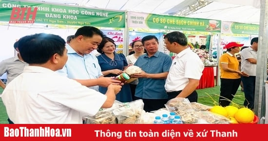 Phát triển hệ thống kinh doanh, phân phối nông sản thực phẩm