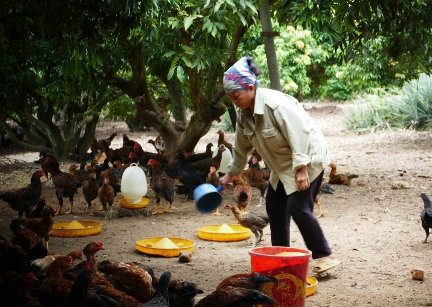 Người dân Hàm Yên đã thay đổi tư duy, chủ động vươn lên thoát nghèo. 