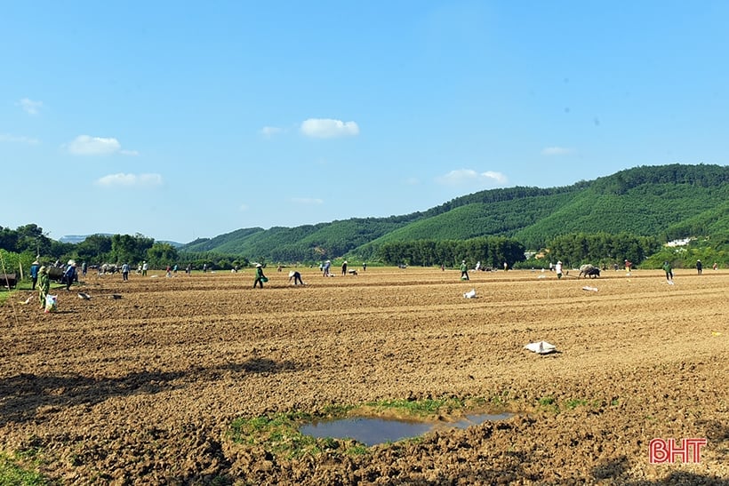 Les agriculteurs de Huong Khe sont occupés à semer les cultures d'hiver.