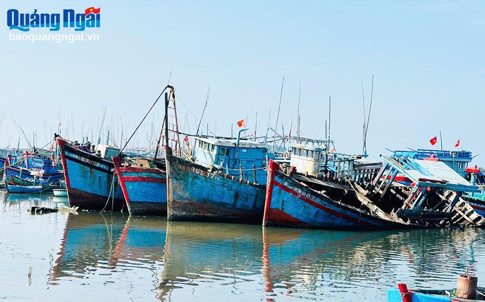 Banyak perahu nelayan yang mengoperasikan jaring pukat nelayan di distrik Pho Thanh (kota Duc Pho) berlabuh di pantai, rusak dan rusak.