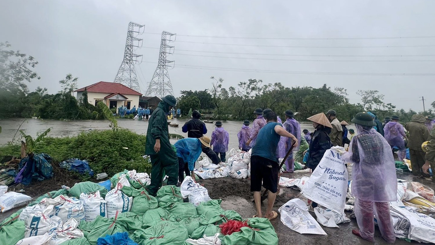 Tuổi trẻ Hưng Yên 'dầm mưa' chạy lũ với nông dân ảnh 9