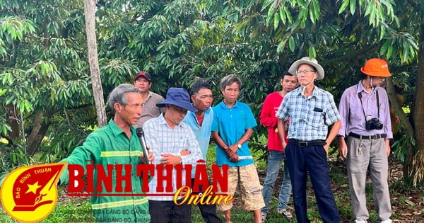 Organic durian cultivation combined with ecotourism