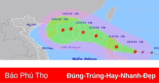 Chủ động ứng phó bão chồng bão