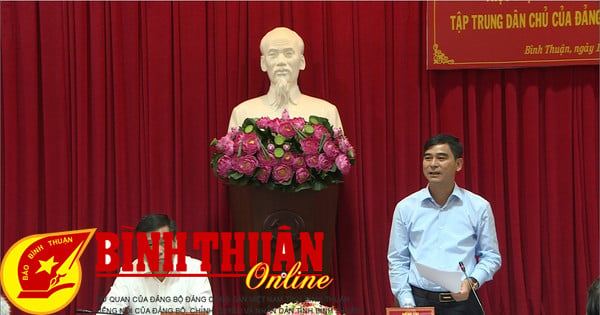 Seminar zur Umsetzung des Prinzips des demokratischen Zentralismus der Partei in Binh Thuan