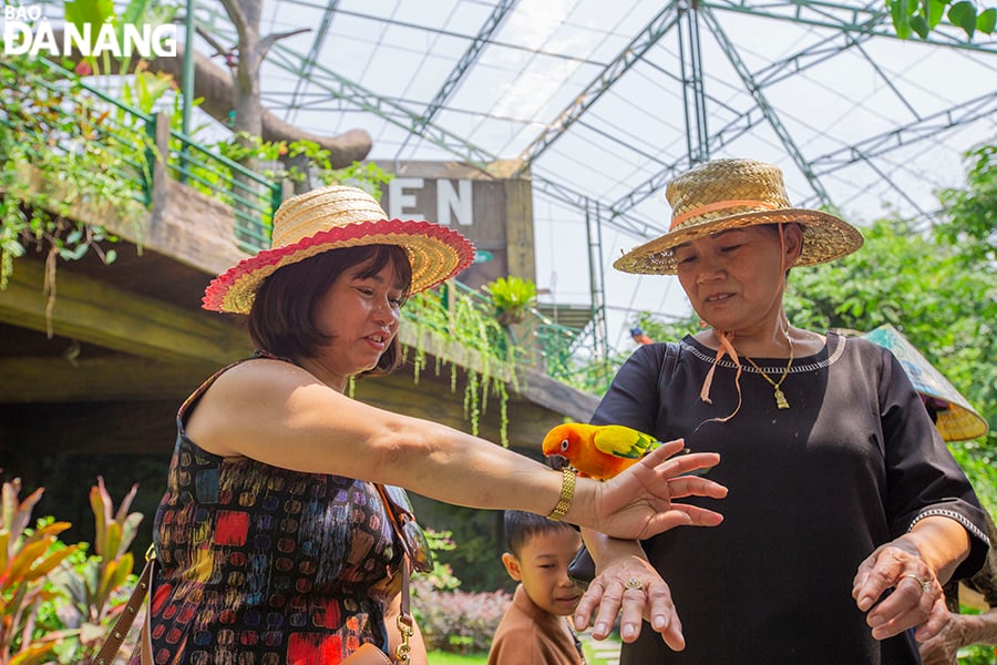 On this occasion, Nui Than Tai Hot Spring Park has put into operation many items to meet the entertainment and relaxation needs of tourists. In the photo: Tourists have fun at the bird garden. Photo: THU HA