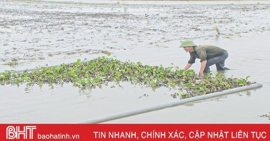 Anh nông dân bám đất, bám ruộng, tìm hướng phát triển kinh tế mới