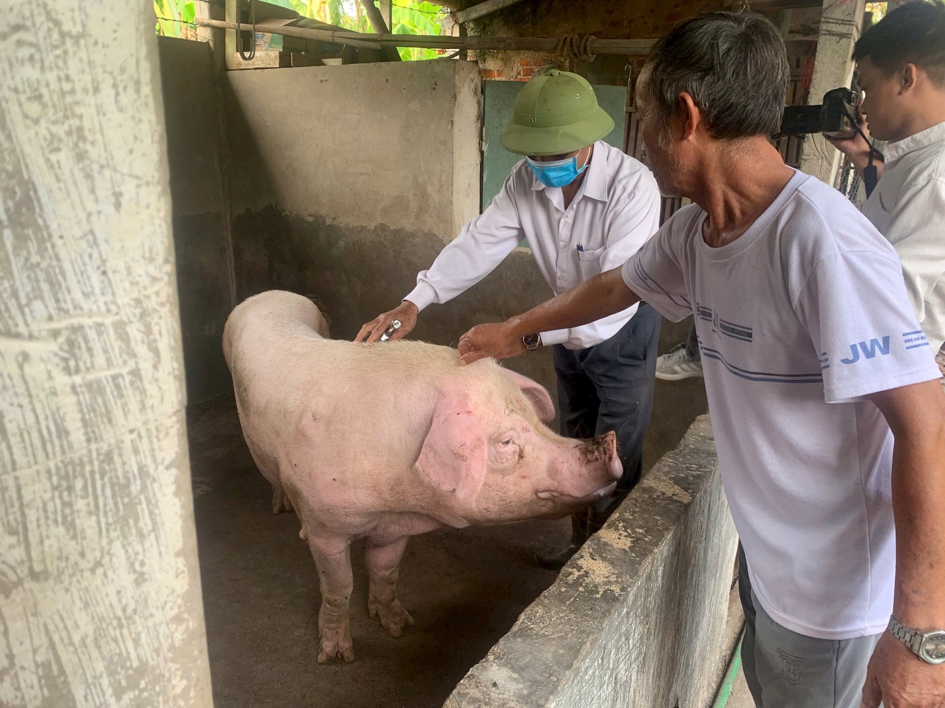 Lưu ý khi tái đàn vật nuôi dịp cuối năm