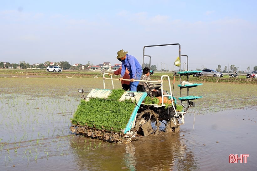 “Hạt giống” nông nghiệp sạch nảy mầm trên đồng đất Can Lộc