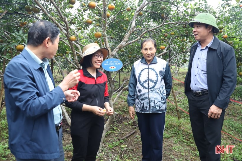 Phân bón Quế Lâm tăng hiệu quả sản xuất cho cây trồng ở Hương Sơn