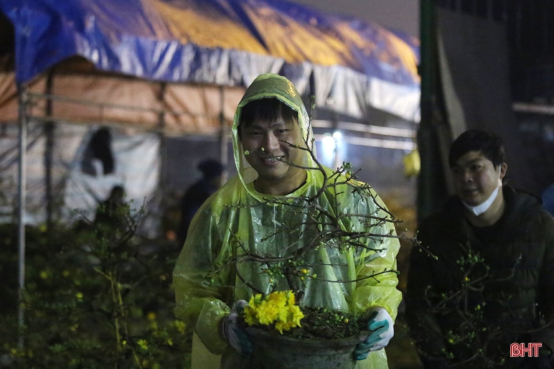 Kumquat et pêchers dans la nuit froide