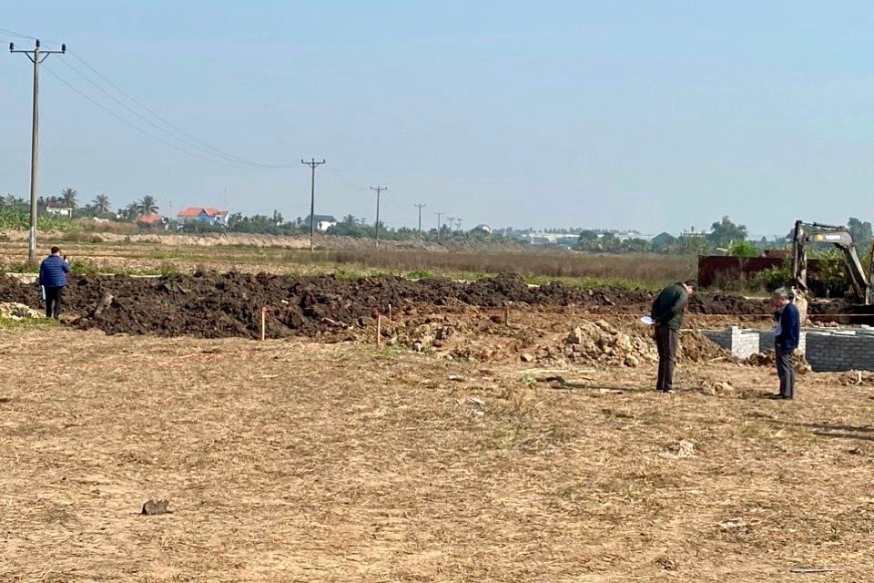 La superficie total de tierras agrícolas de Hai Duong disminuyó en más de 624 hectáreas