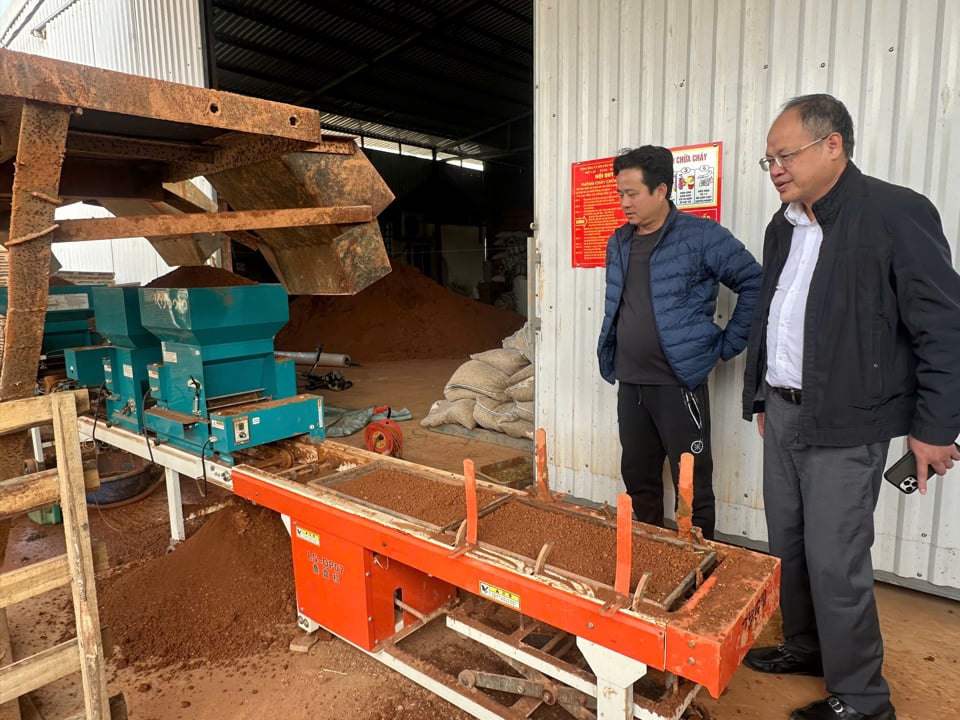 El vicepresidente del Comité Popular del Distrito de Phu Xuyen, Nguyen Trong Vinh, inspeccionó la tecnología de la línea de preparación de bandejas de la Cooperativa Agrícola General de Phu Hung.