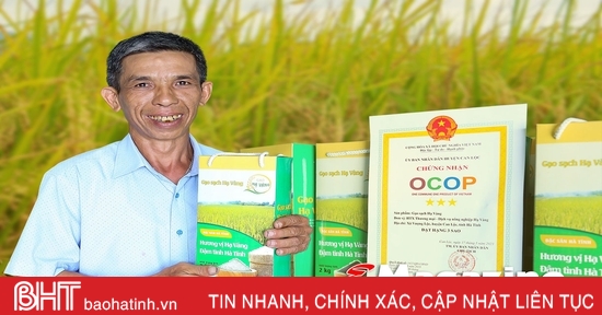 Chuyện lão nông ở Hà Tĩnh xây dựng thương hiệu gạo OCOP